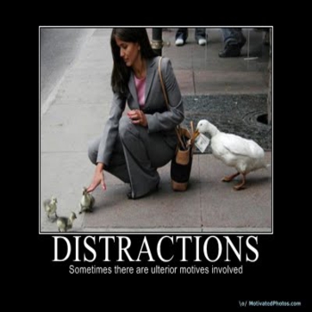 29distractions_350x350 29distractions_350x350